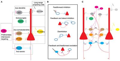 Inhibitory Circuits in the Basolateral Amygdala in Aversive Learning and Memory